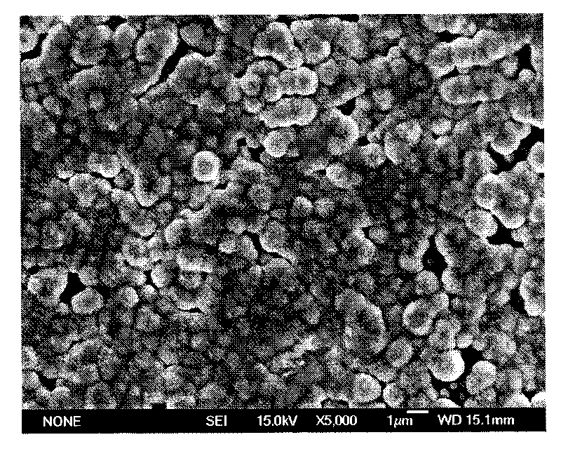 Method for preparing anode-catalyzed electrode for electrolyzing slurry coal