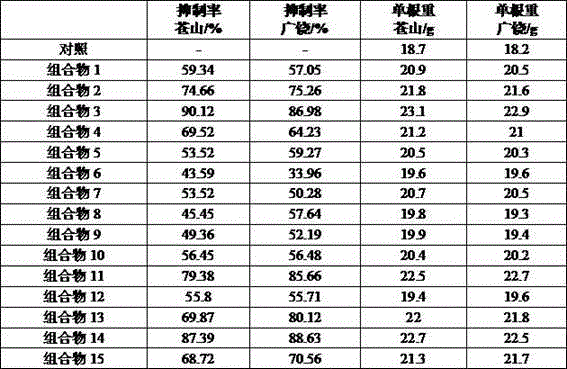 Composition for preventing and treating young garlic shoot maculopathy