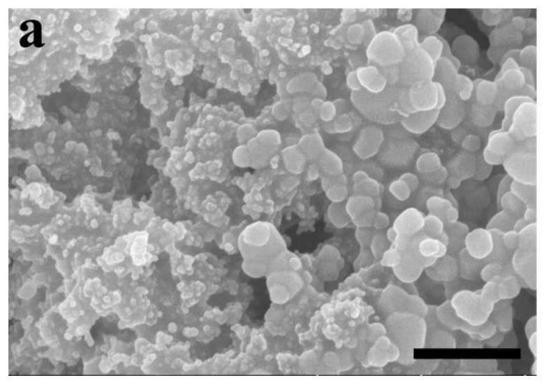 Super-hydrophobic paint with super-strong mechanical properties and preparation method thereof