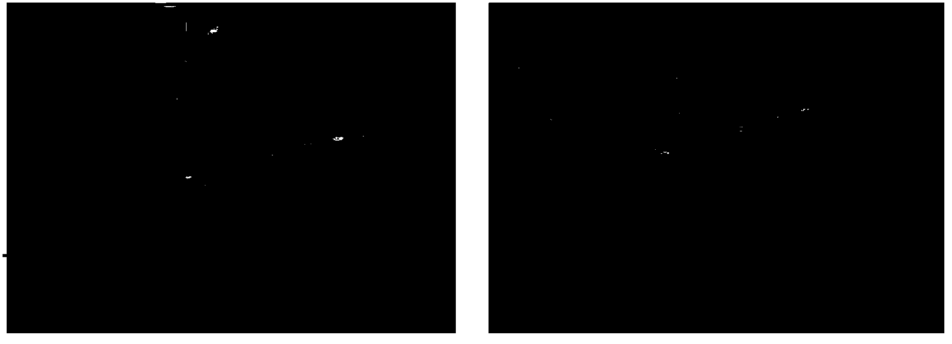 Method for exploiting residual crude oil in low-permeability oilfield by using polymer micro/nanoparticle