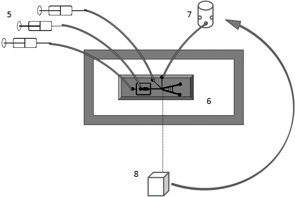 High-throughput screening system and method of fast growing microalgae strains