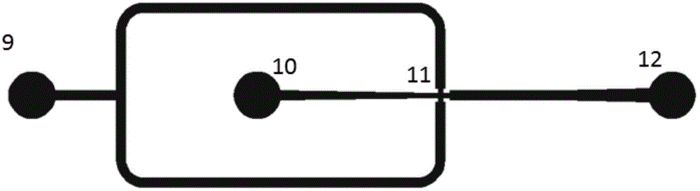 High-throughput screening system and method of fast growing microalgae strains