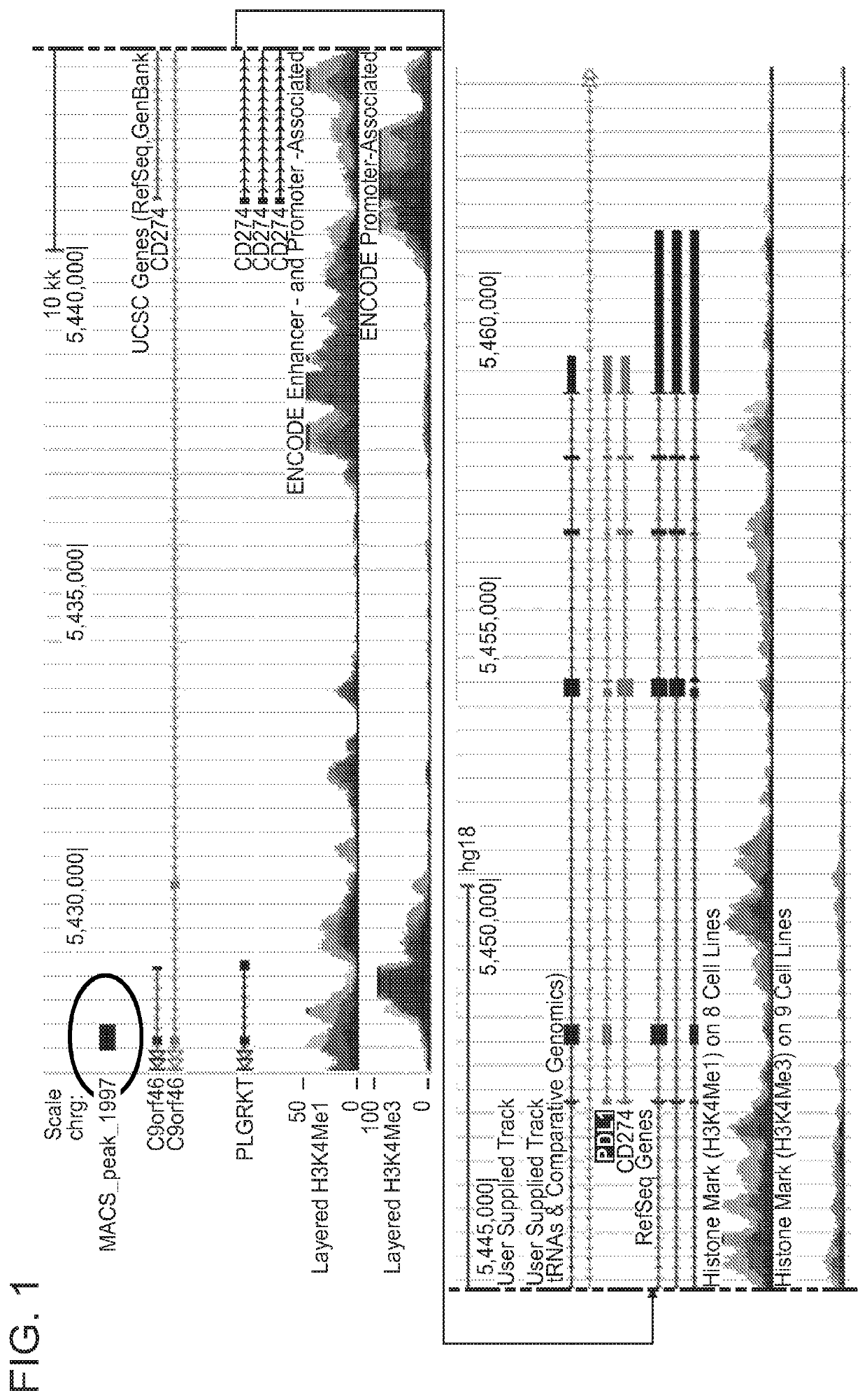 Enhanced immunotherapy of cancer using targeted transcriptional modulators