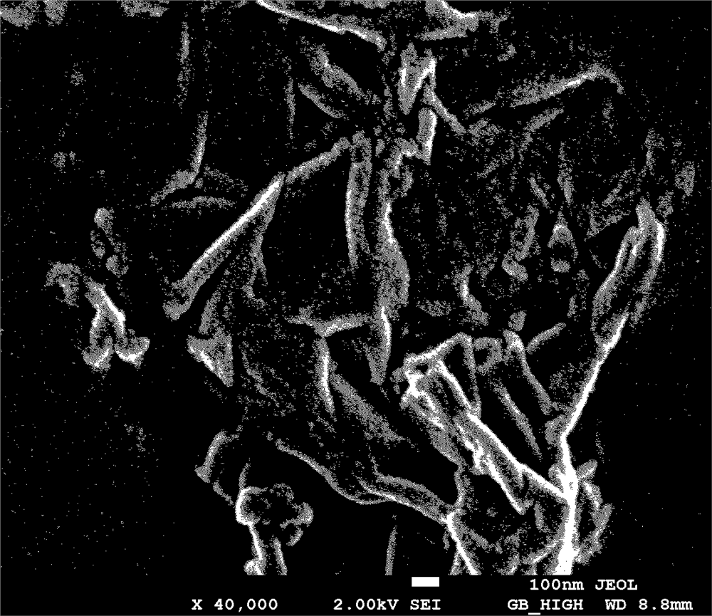 A kind of preparation method and application of graphite phase carbon nitride nanotube photoelectrode coated with graphene roll