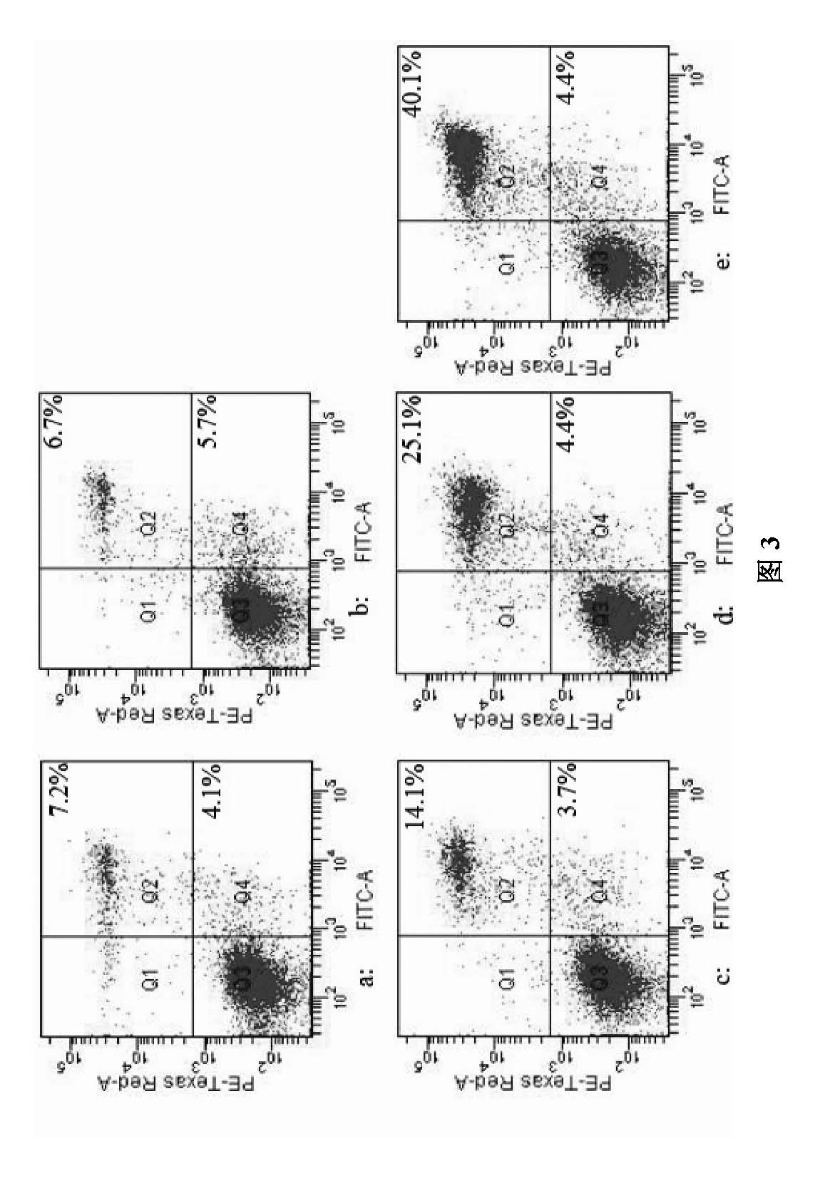 New application of peiminine in manufacturing gastric cancer multidrug resistance reversing medicaments