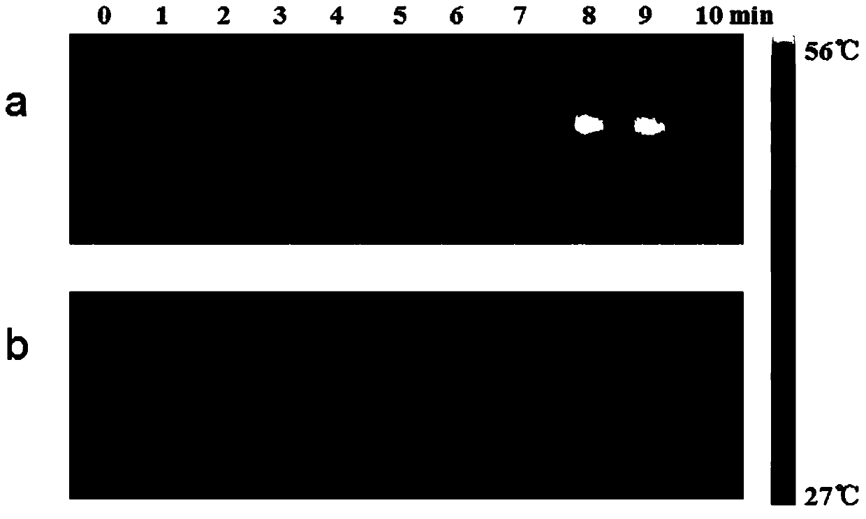 Hyaluronic acid-copper (II) composite nanoparticles and preparation method thereof