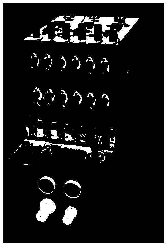 Radioactive composition, method for its single radiosynthesis and use thereof