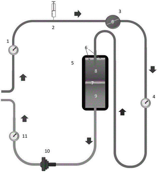 Circulating tumor cell filtration treatment instrument