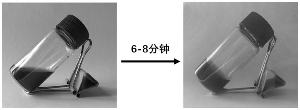 Antibacterial hydrogel loaded with pH response type microcarrier as well as preparation method and application of antibacterial hydrogel