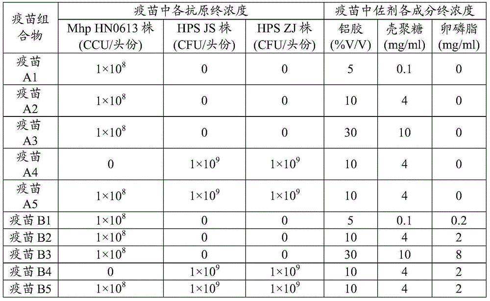 Adjuvant for vaccine, vaccine composition containing adjuvant and application of vaccine composition