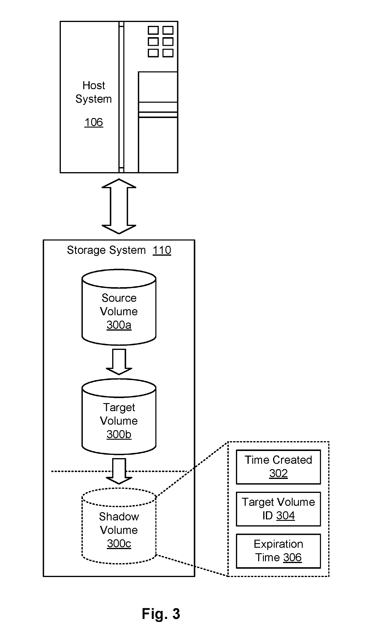 Target volume shadow copy