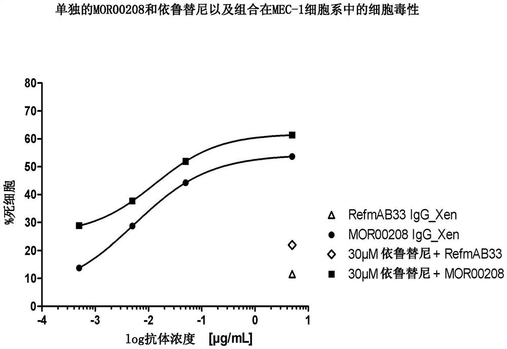 Combinations of anti-cd19 antibodies and Bruton's tyrosine kinase inhibitors and uses thereof