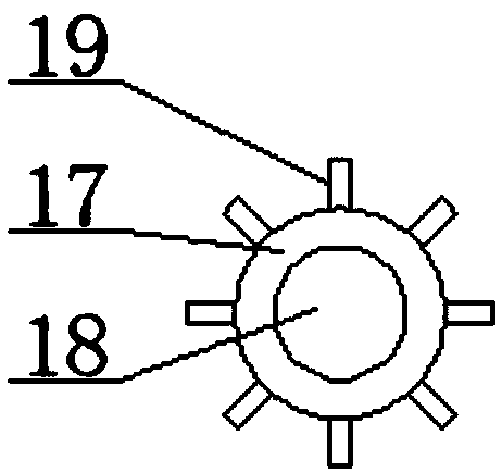 Fully automatic processing device for vegetable cleaning production