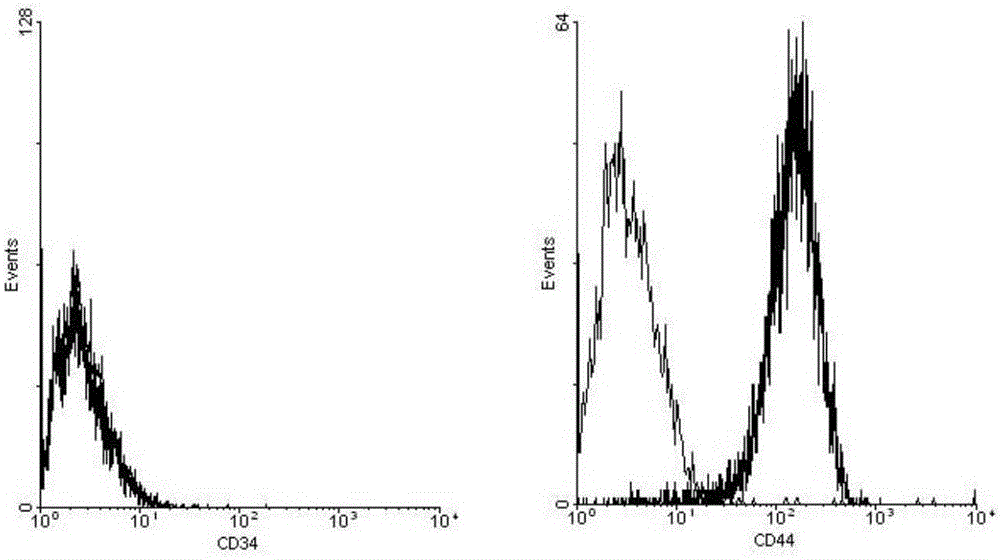 Multifunctional menstrual blood stem cell culture method