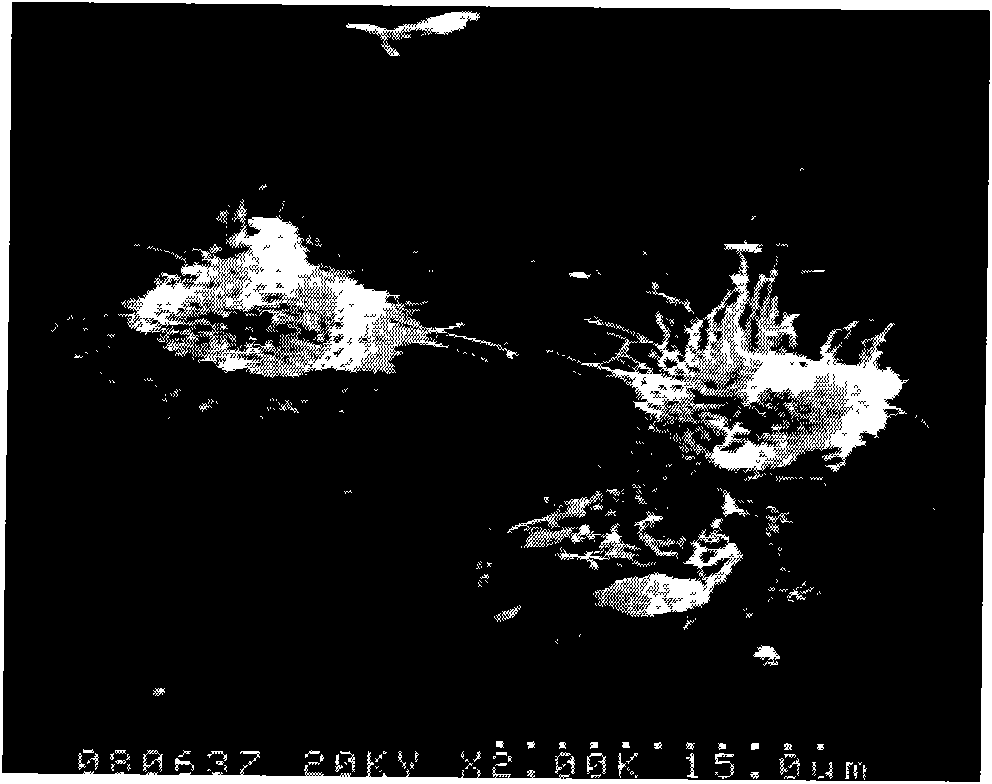 Liver cancer cell system from liver cancer portal vein tumor thrombus of human and system establishing method thereof