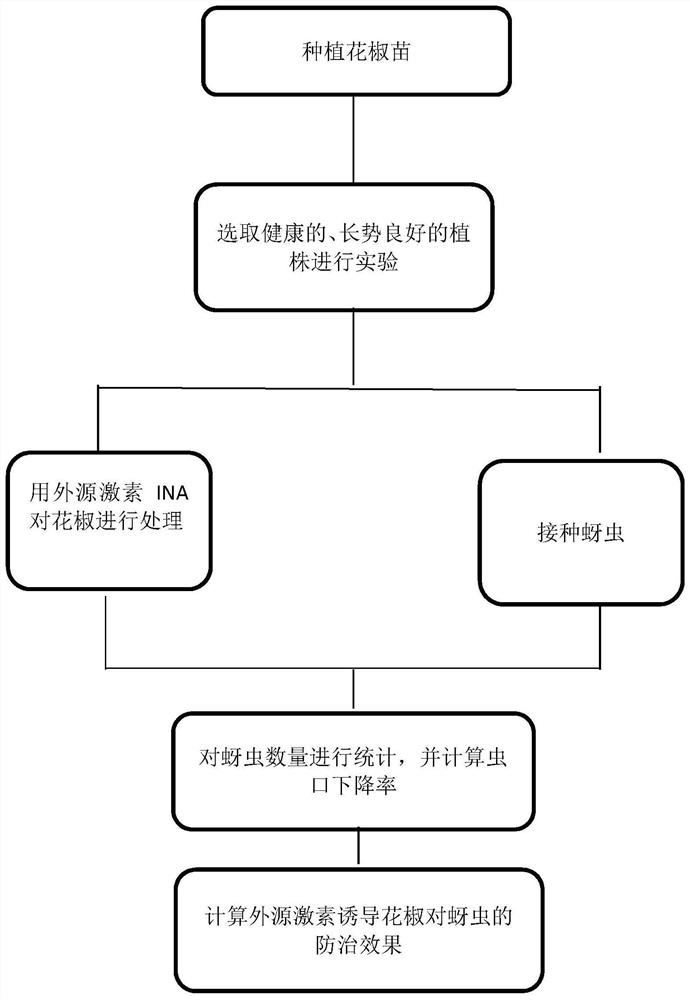 A kind of method of controlling pepper aphid