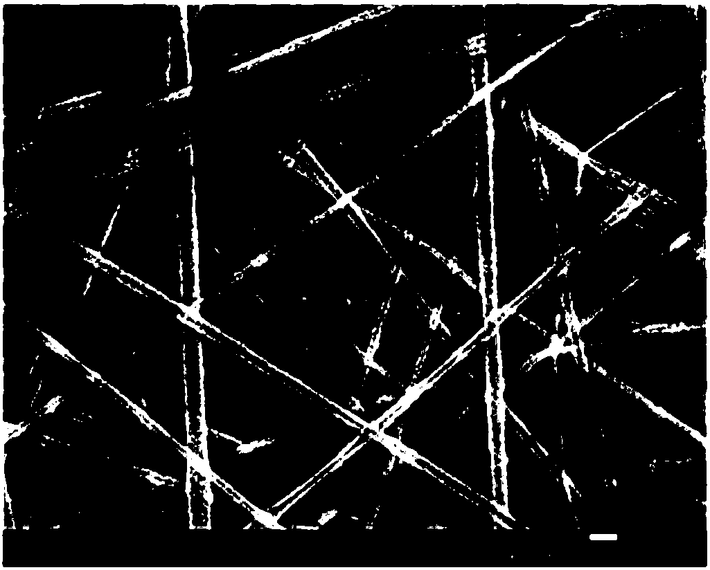 Polymer composite membrane, method for preparing same and lithium ion battery