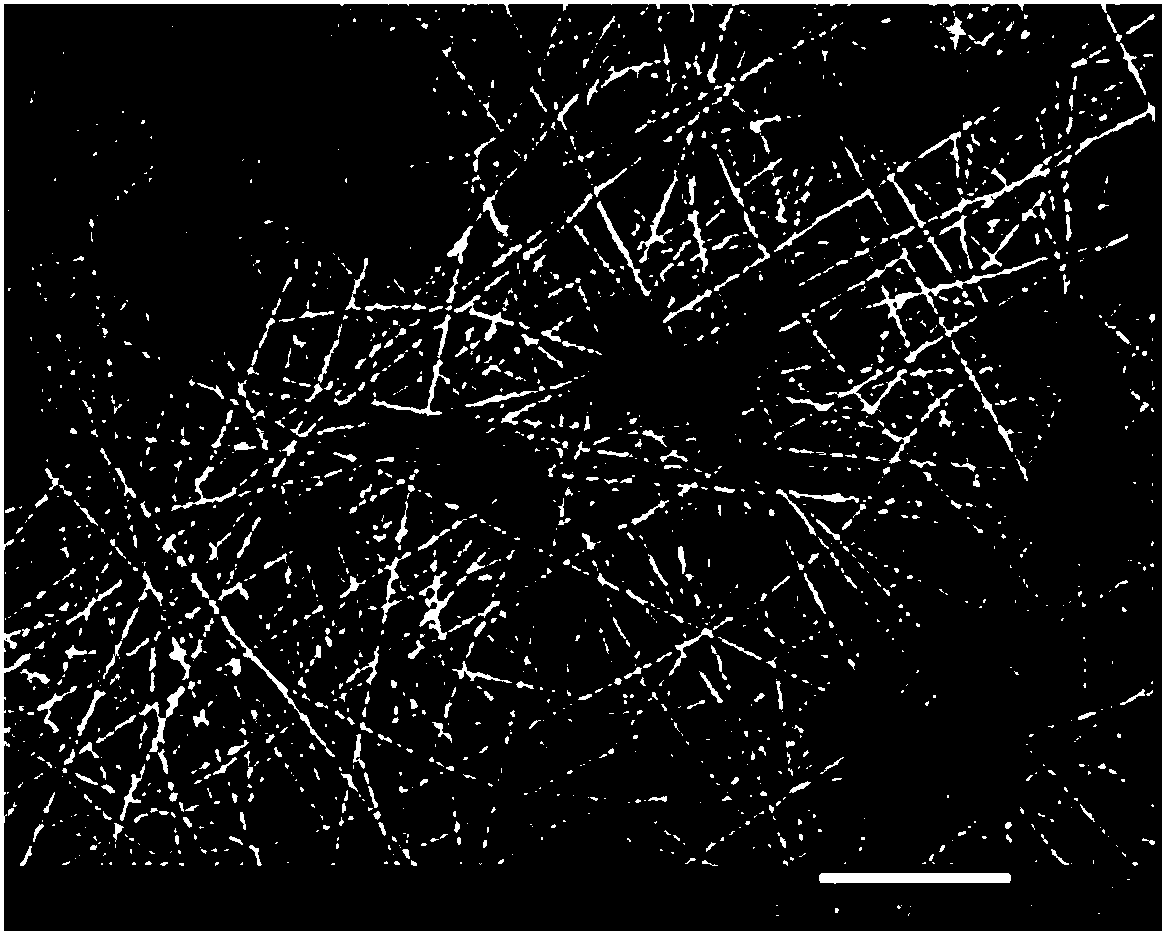 Polymer composite membrane, method for preparing same and lithium ion battery