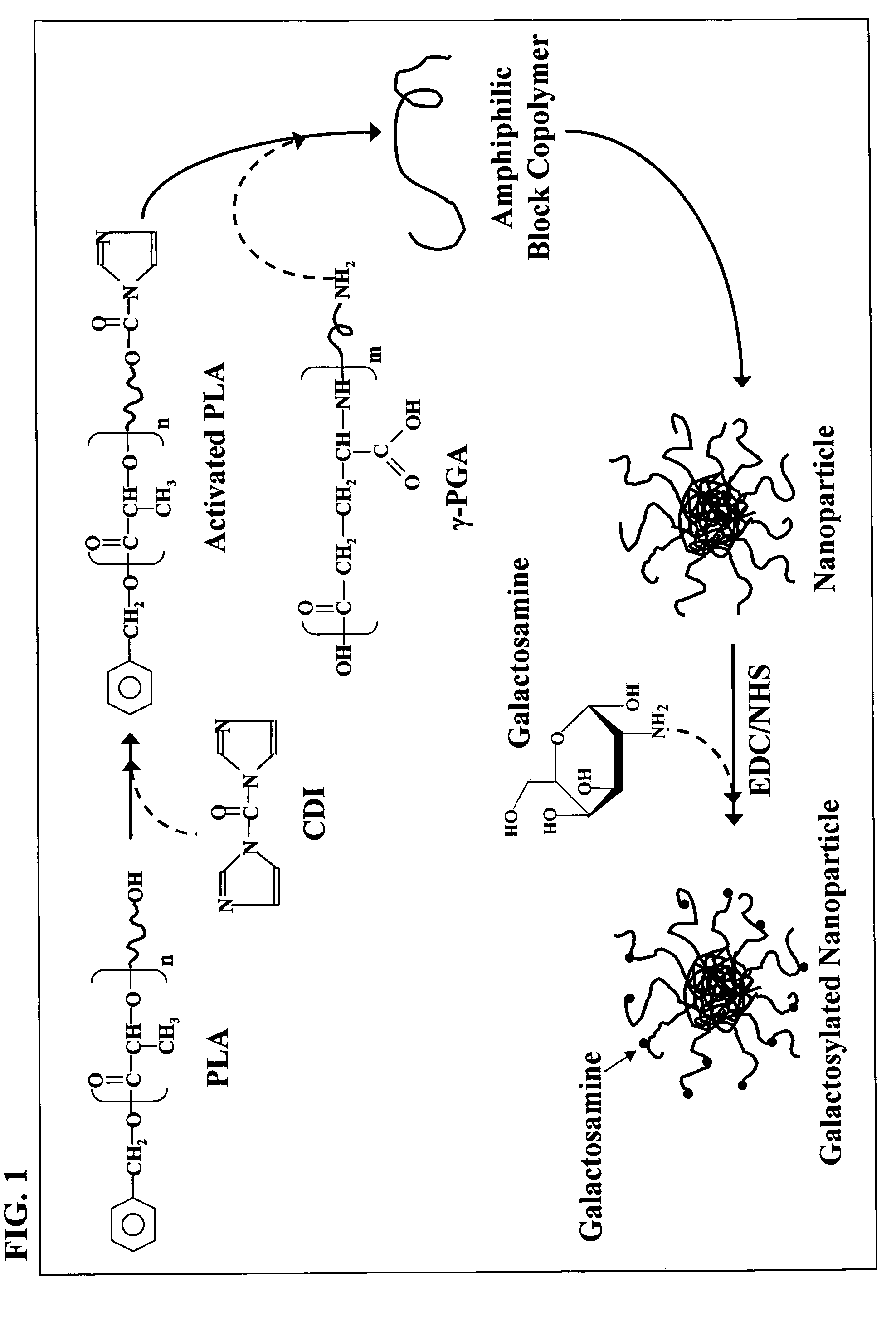 Nanoparticles for targeting hepatoma cells