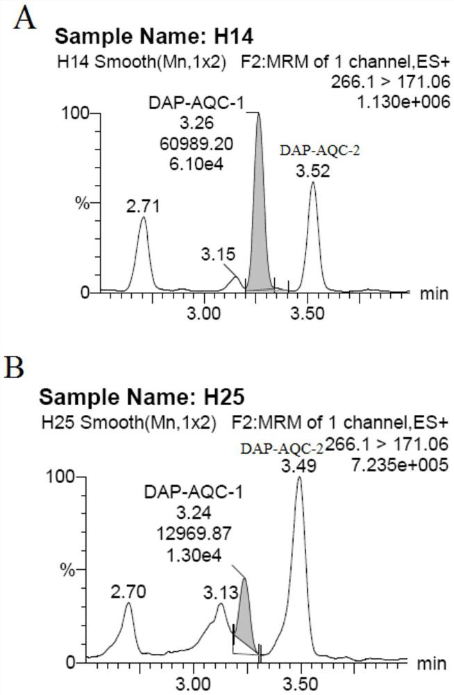 Serum diaminopimelic acid detection kit based on liquid chromatography-mass spectrometry, detection method and application