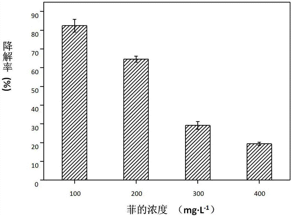 Moderate halophilic aromatic pollutant degrading bacteria and application thereof