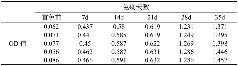 A biologically active immune preparation for enhancing sheeppox vaccine antibody and its preparation method