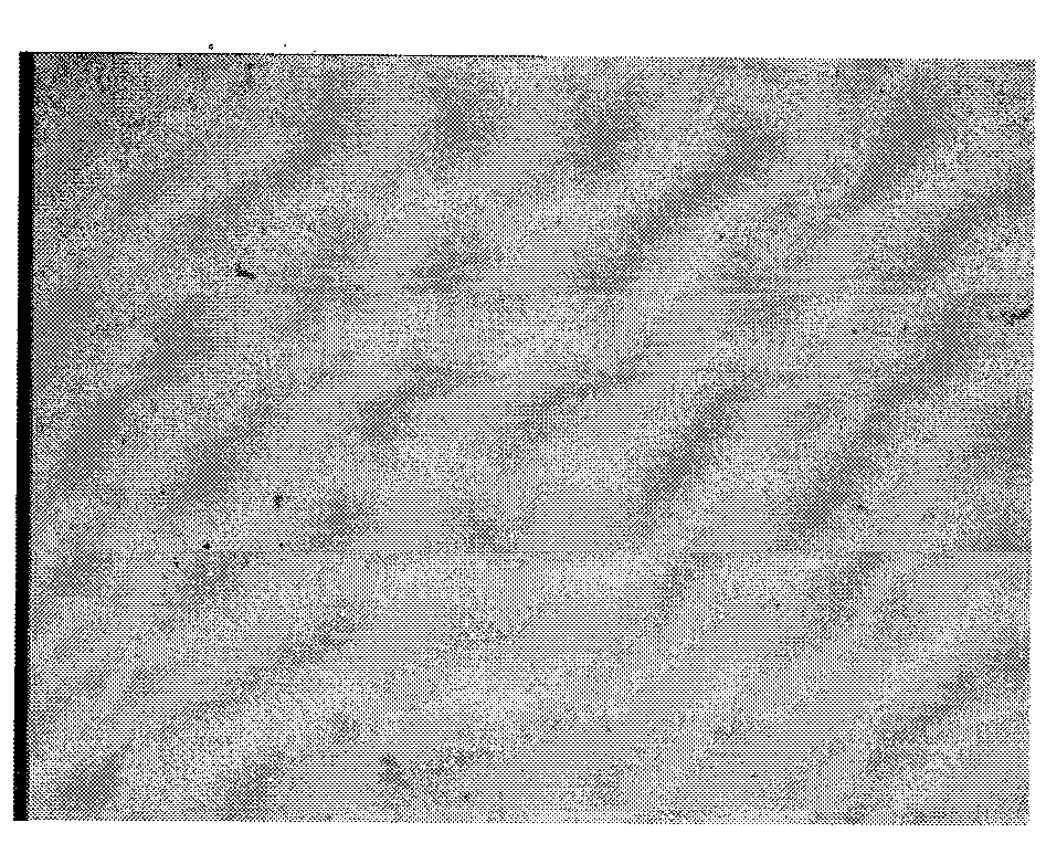 Preparation method of nickel-based wear-resistant coating for nuclear second-stage pump bearing