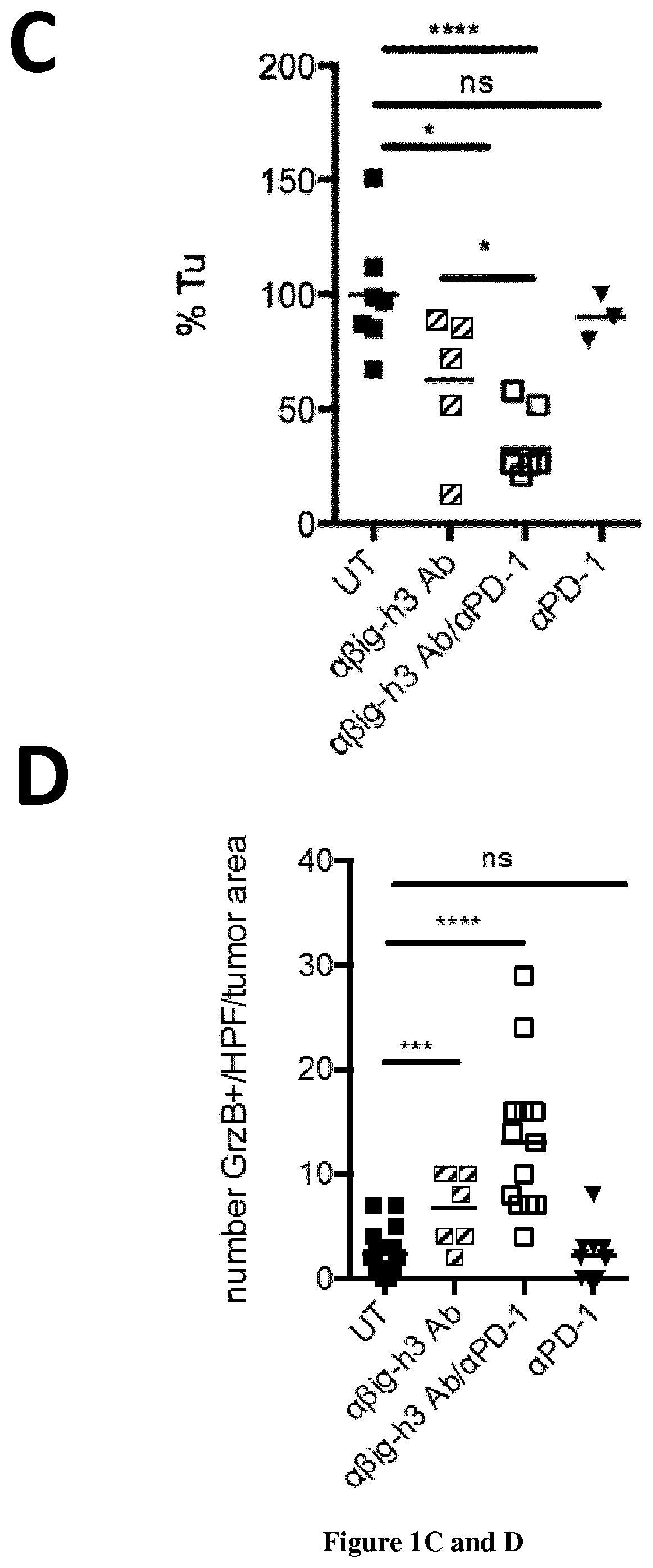 Combination of a big-h3 antagonist and an immune checkpoint inhibitor for the treatment of solid tumor