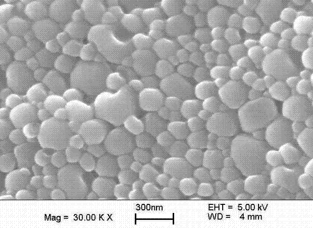 Oral PEGylated insulin pH-sensitive naonparticle and preparation method thereof