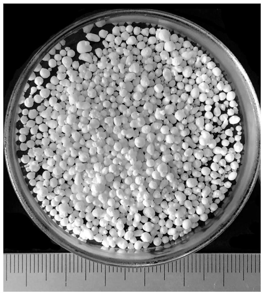 Ibuprofen-loaded menthol composite particle and preparation method thereof