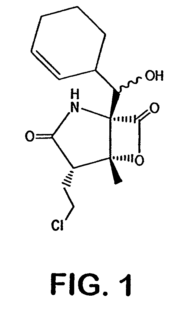 Salinosporamides and methods for use thereof