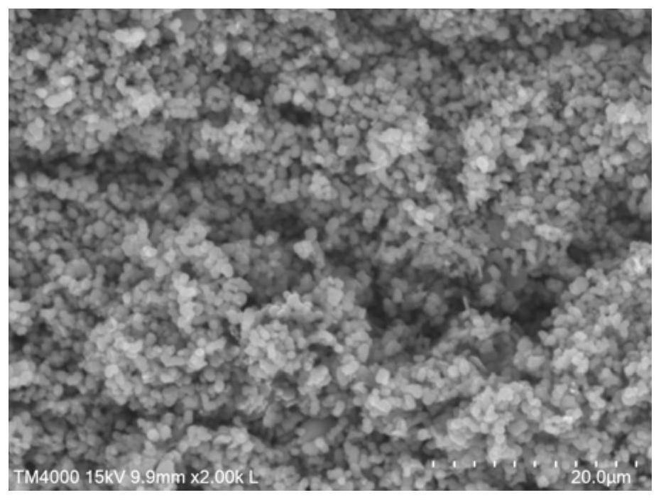 Carbon microspheres and preparation method thereof