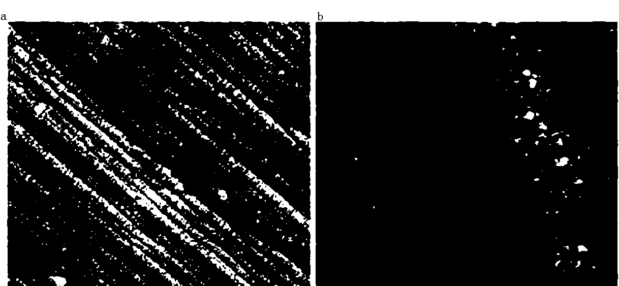 Preparation method of tungsten-based sealing material chemical Ni-P coating