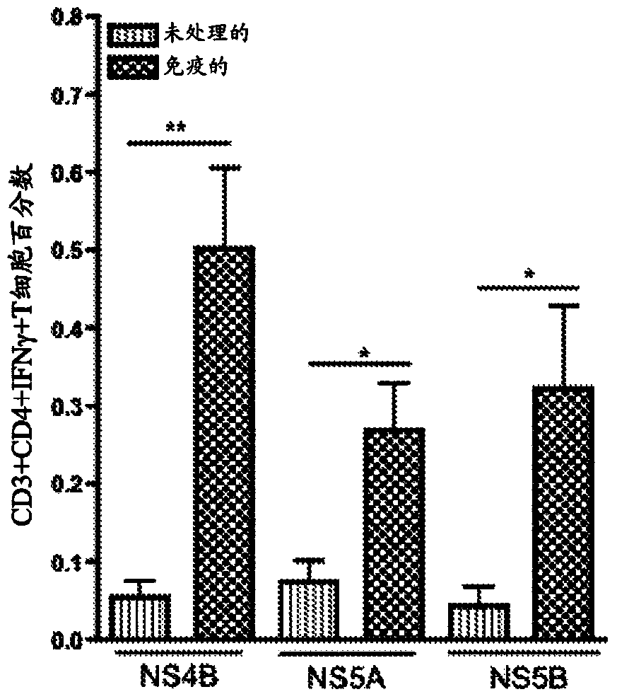 Improved HCV vaccines and methods for using the same