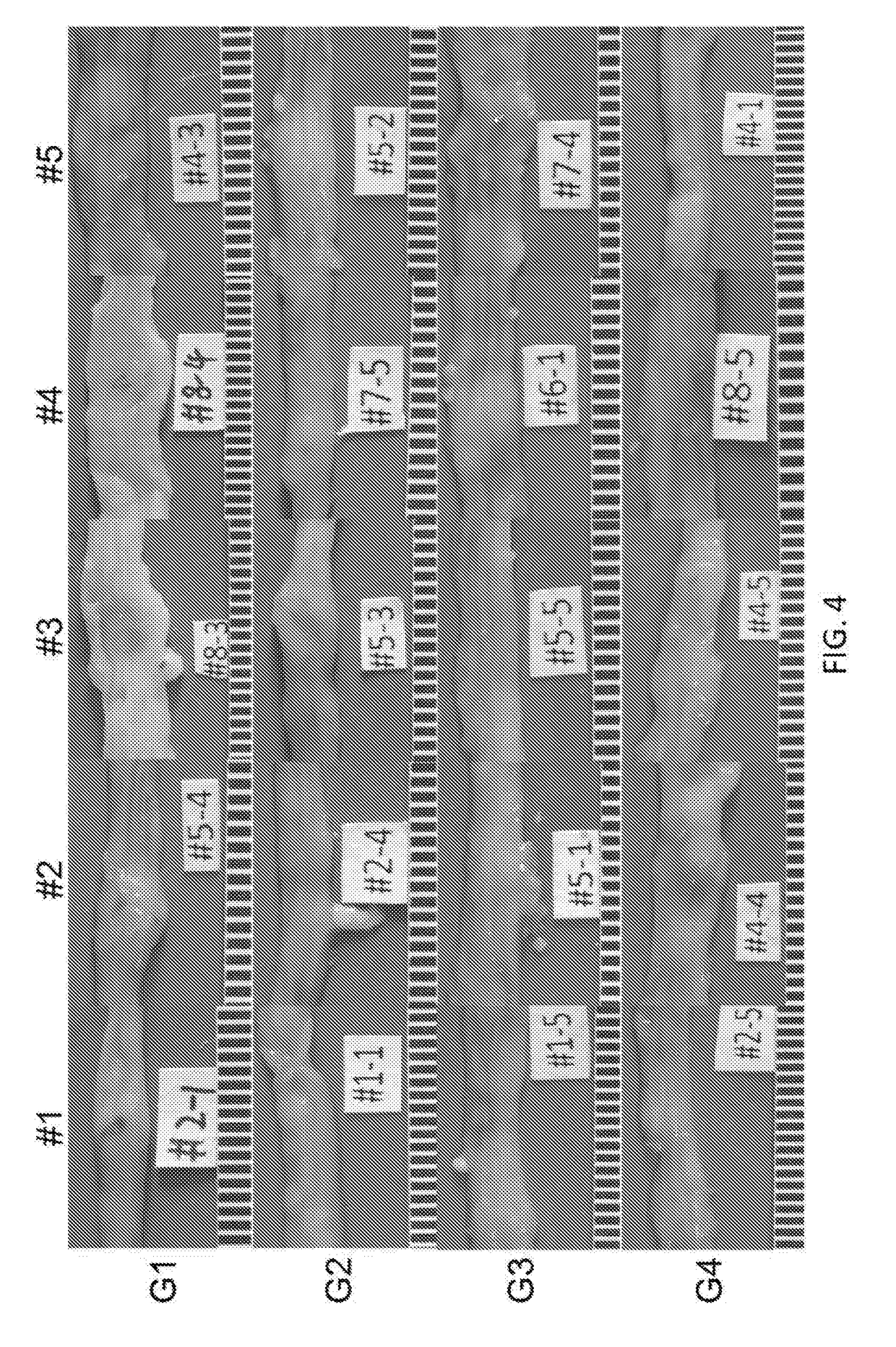 Antibodies against n-acetylgucosamine and n-acetyl-galactosamine