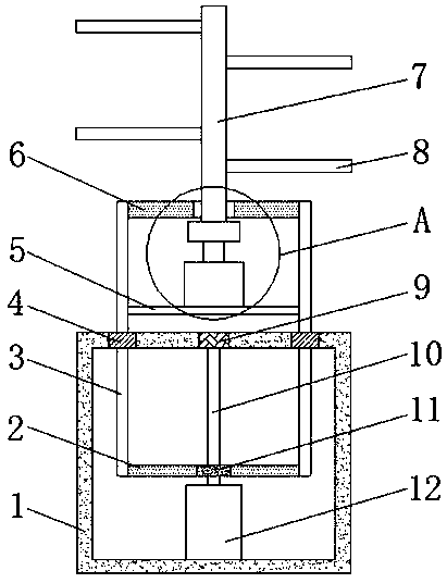 Placement rack for fruit and vegetable cultivation