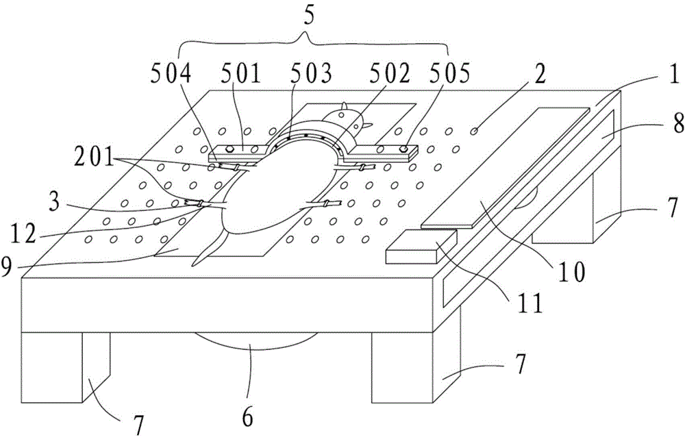 A mouse fixing device for schistosome infection experiments and an experiment method