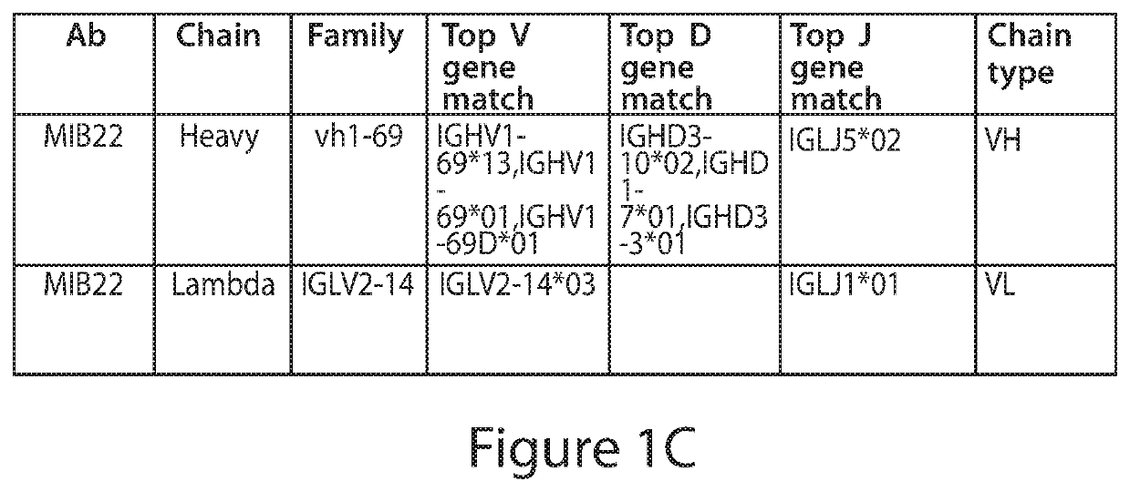 Antibodies to Andes hantavirus, and methods for using same