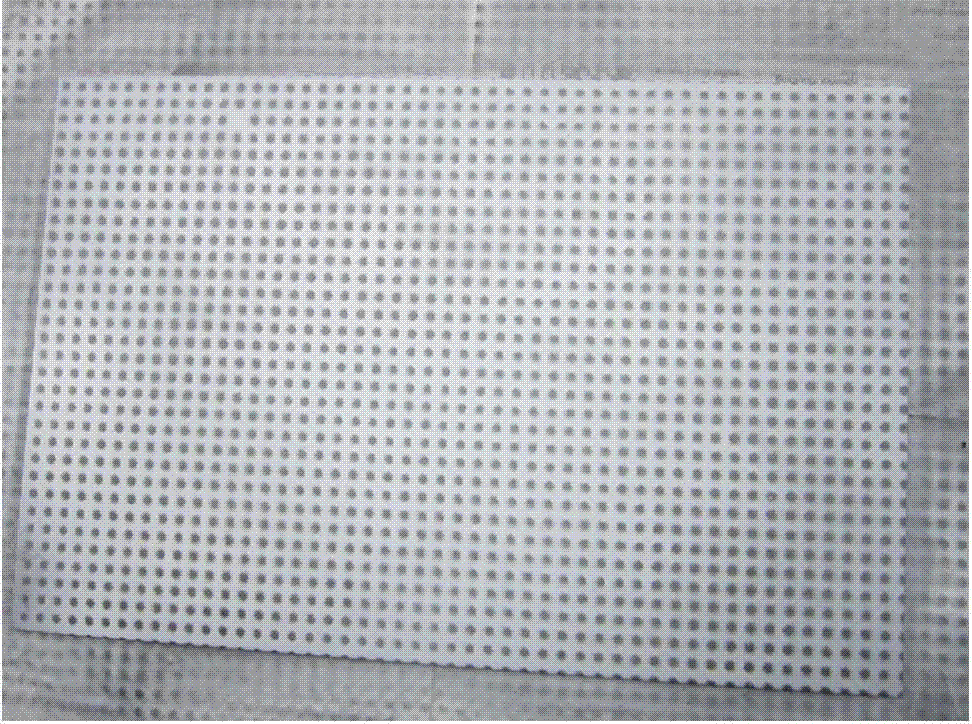 Large size speckle full-field strain measurement method