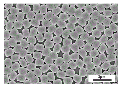 Method for preparing highly-oriented MFI-type molecular sieve membrane by secondary growth process