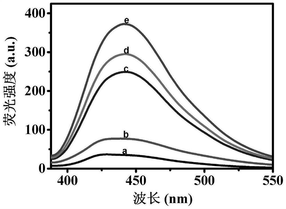 Fluorescent aptamer sensor based on hybridization chain reaction and ribozyme and application of fluorescent aptamer sensor