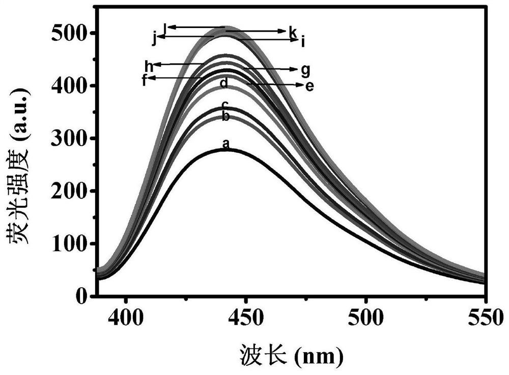 Fluorescent aptamer sensor based on hybridization chain reaction and ribozyme and application of fluorescent aptamer sensor