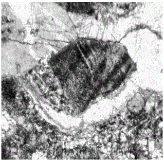 Meso-crack growth rate based rock mass damage threshold determination method