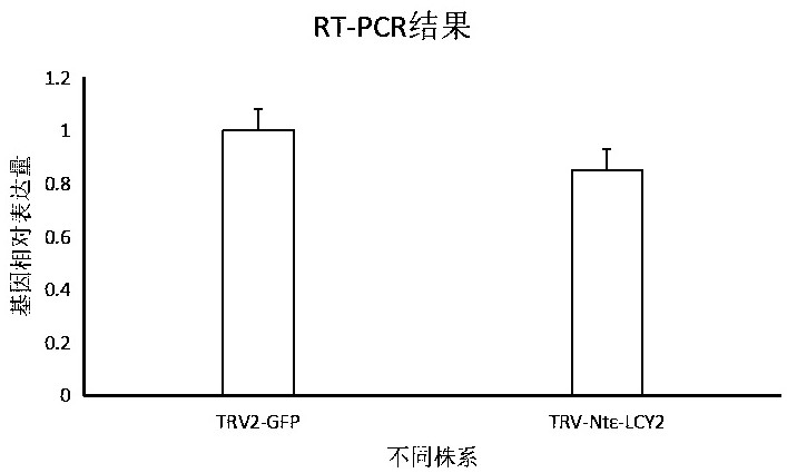 A regulatory gene that reduces the total protein and phenol content of tobacco leaves