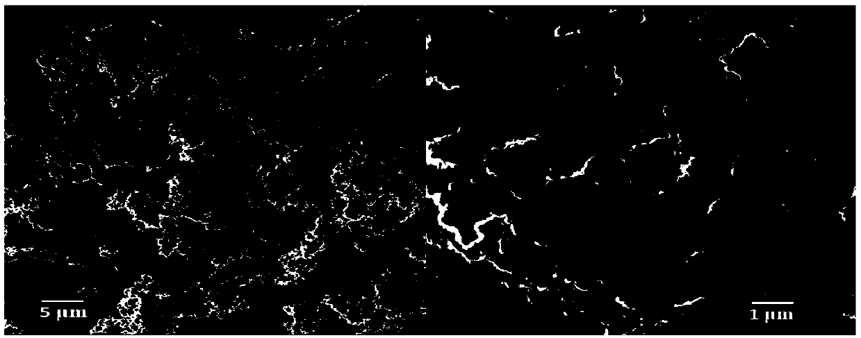 Immobilized metal ion affinity chromatography functionalized hybrid monolithic material, and preparation method and application thereof