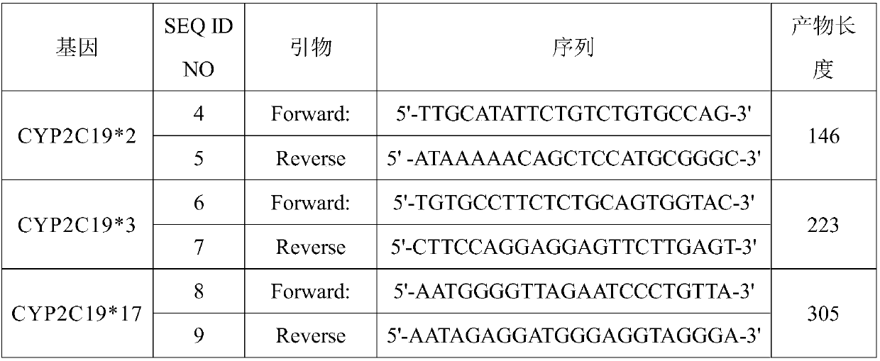 Quick amplifying reagent kit and amplifying method of CYP2C19 gene