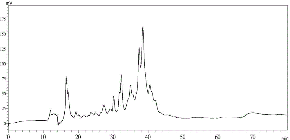 Antihypertensive peptide P16 as well as preparation method and application thereof