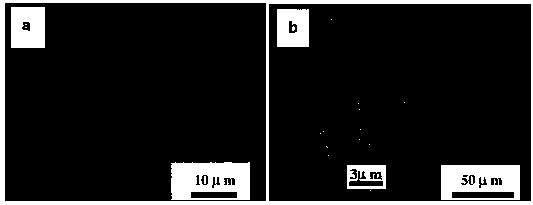 Preparation method of regenerated medical material for bone and soft tissue bonding and restoration