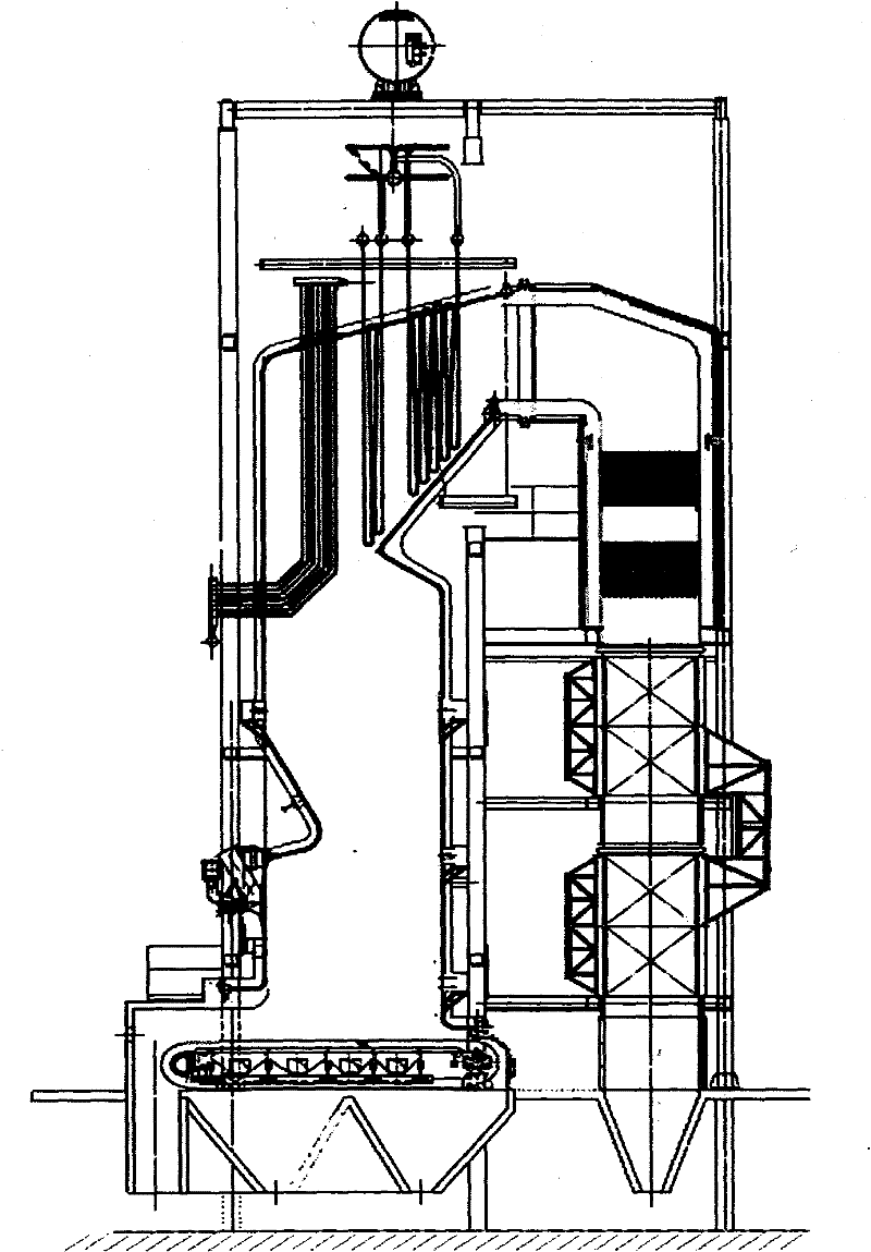 High-moisture-content biomass fuel boiler