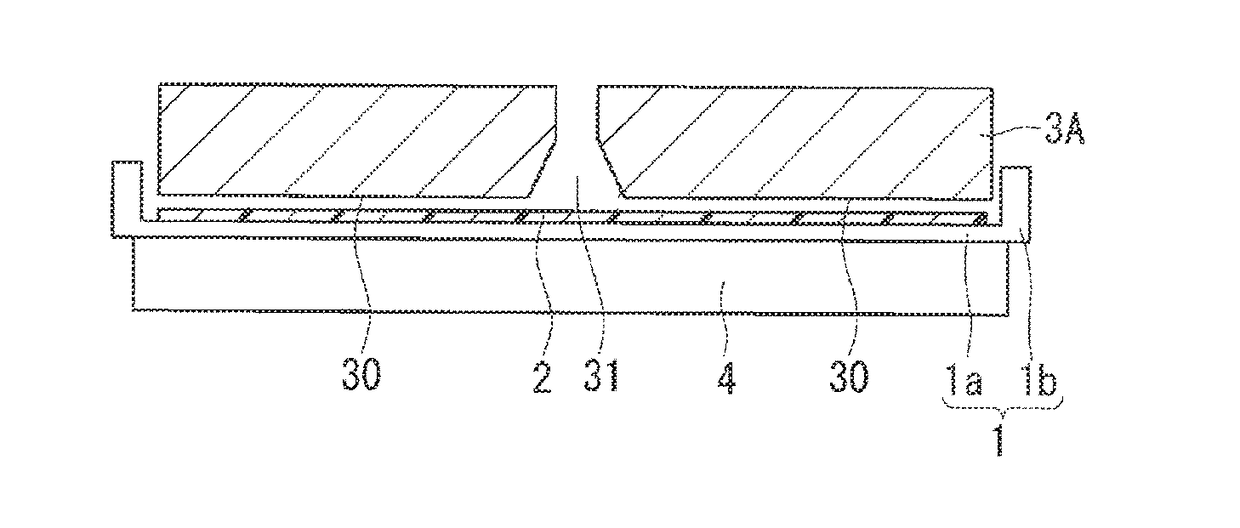 Resist removing apparatus and method for removing resist